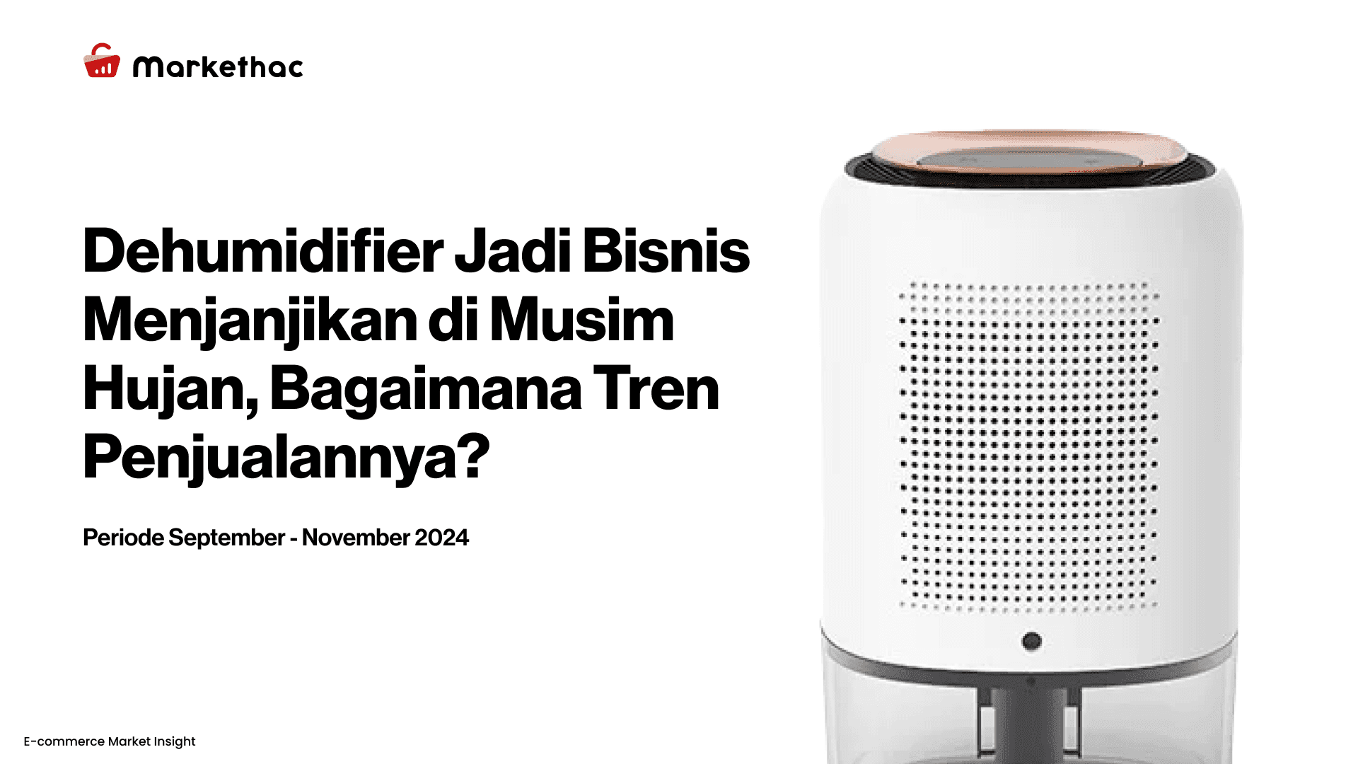 data penjualan dehumidifer di e-commerce
